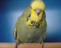 ws-babys2012.009.jpg